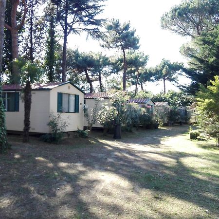 Villaggio Mithos Misano Adriatico Esterno foto